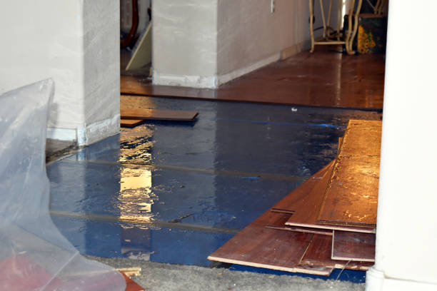 Professional Water Damage Restoration technician working in Hugheston, WV